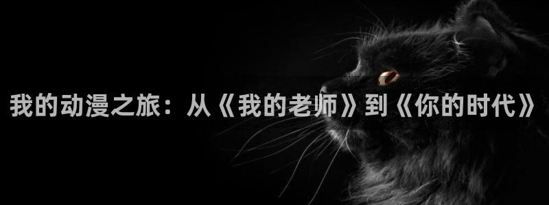风车动漫下：我的动漫之旅：从《我的老师》到《你的时代》