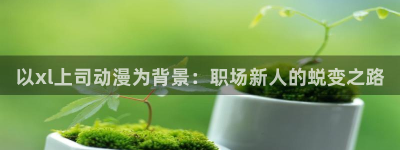 风车动漫下：以xl上司动漫为背景：职场新人的蜕变之路